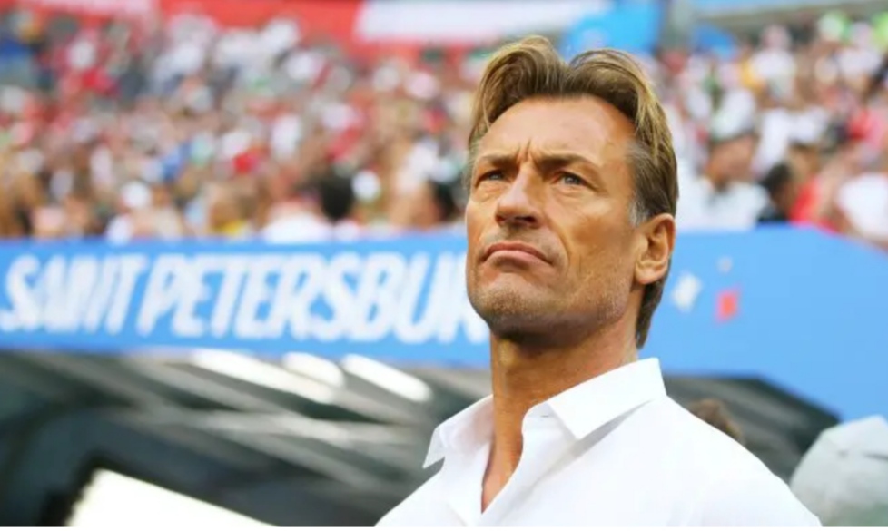 اسم هيرفي رونار يعود للواجهة من جديد بخصوص المنتخب