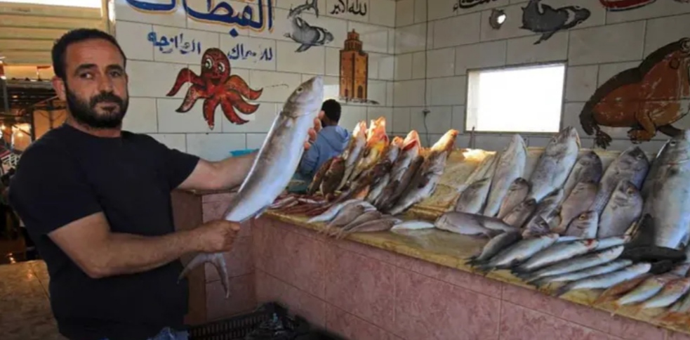 دراسة حديثة..هذا النوع من الأسماك يتسبب من السرطان